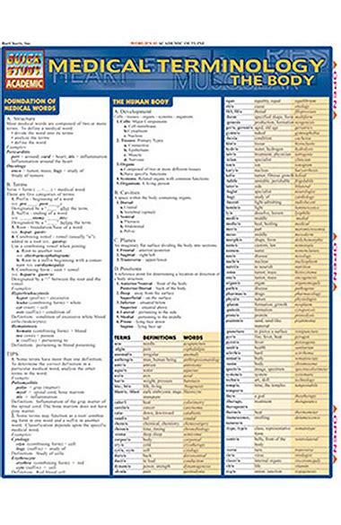 Bar Charts Anatomy Terminology Guide