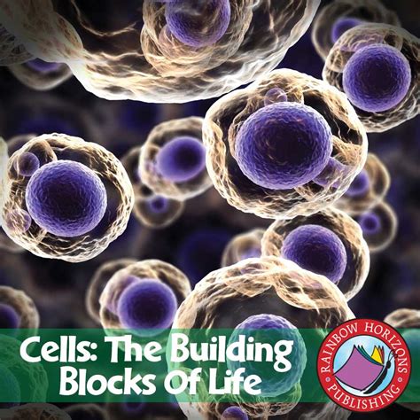 Cells The Building Blocks Of Life Grades 7 To 8 Ebook Lesson