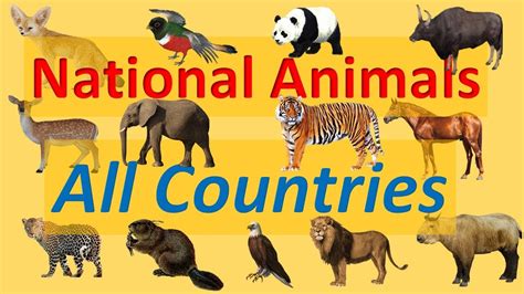 Top 181 National Animal Of Other Countries