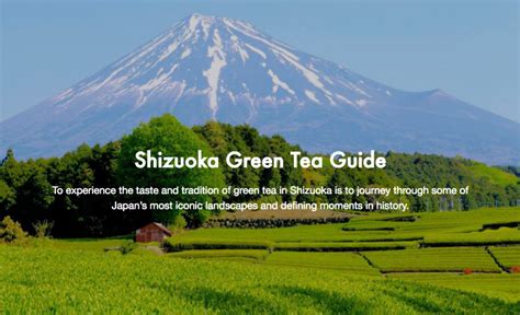 Taking Shizuoka Green Tea Beyond Blind Consumption