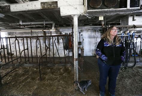 Fighting Suicides In Dairy Country Through ‘farmer Angels The