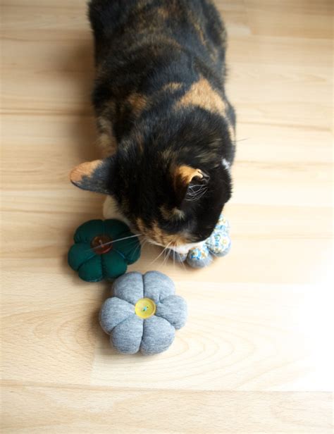 Make Your Own Catnip Toy For Your Cat Friendly Nettle