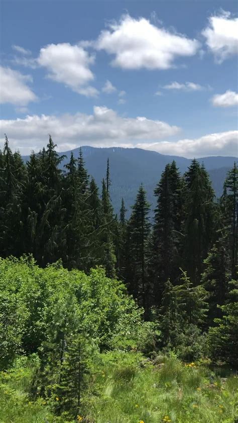 Beavers bend rv park hook ups – Artofit