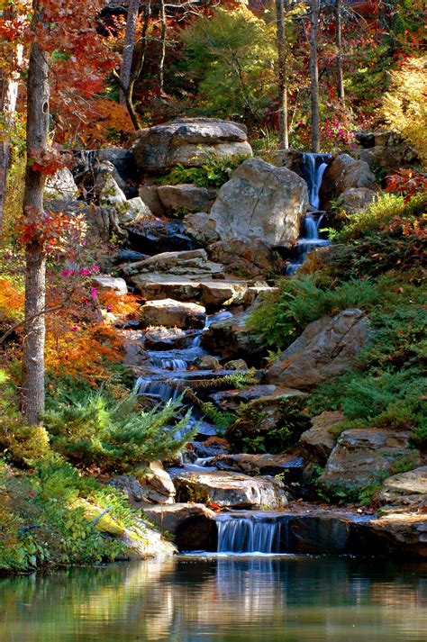 Koi Pond Cascade In Fall Backyard Garden Layout Ponds Backyard Koi