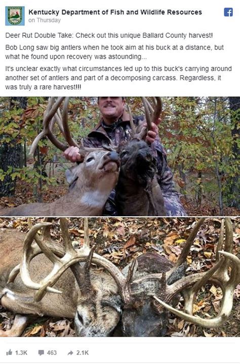 Pictures Go Viral After Hunter Nabs Two Headed Deer In Kentucky