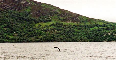 Ten Most Intriguing Sightings Of The Loch Ness Monster Caught On Camera In Mirror Online