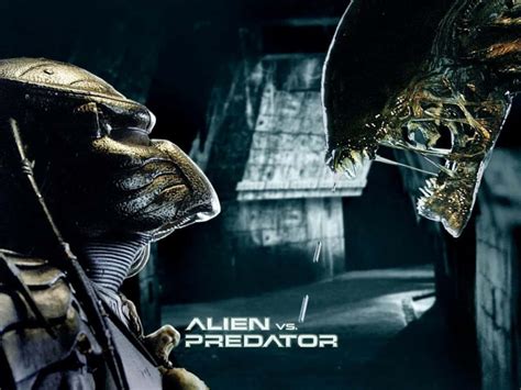 [100 ] alien vs predator wallpapers