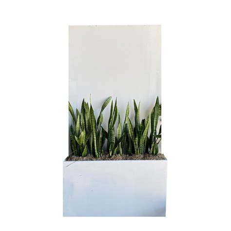 Planter Box Wall Displays And Dividers Décor And Props Pacific Event