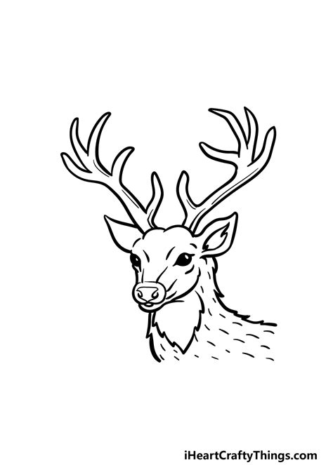 Deer Head Drawing How To Draw A Deer Head Step By Step