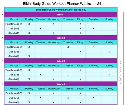 The Designing Doc Kayla Itsines Bikini Body Guide Review