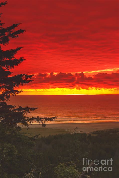 Red Pacific Photograph By Robert Bales Fine Art America