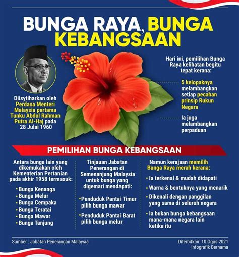 Free Download 80 Gambar Bunga Nasional Malaysia Hd Terbaru Gambar