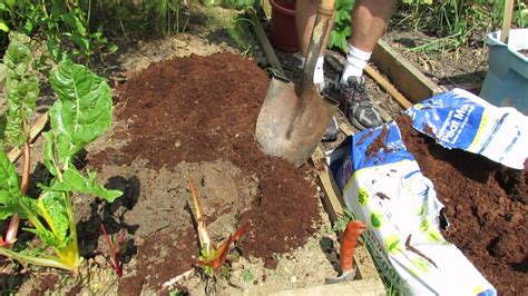 How To Use Peat Mossorganic Matter In Your Raised Bed My 1st