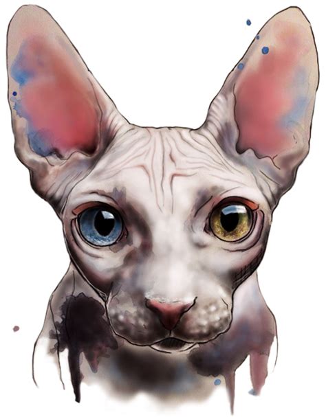 I draw sphynx portraits for everyone who ask. Sphinx. Watercolor and digital art by Elenn Freya. # ...