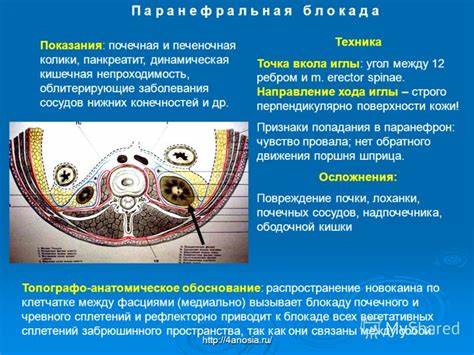 Диета при операции на почках