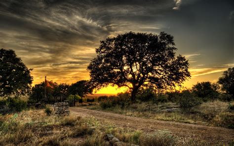 Free Download Landscapes Nature Trees Hdr Photography 30346 Hd