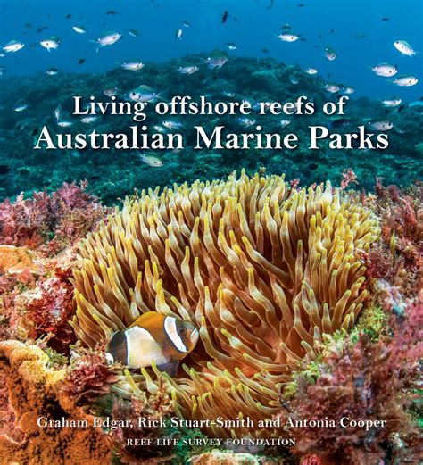 Living Offshore Reefs Of Australian Marine Parks Nokomis