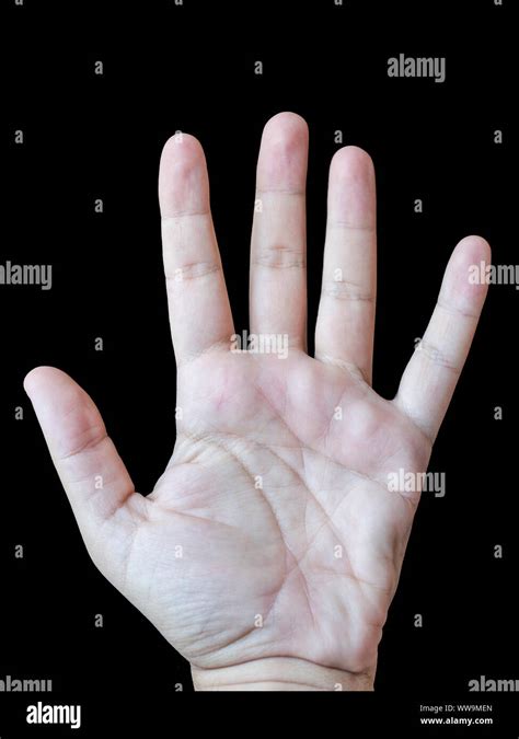Male Left Hand Palm With Black Background Stock Photo Alamy