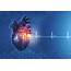 What You Need To Know About Heart Rate  PhillyVoice