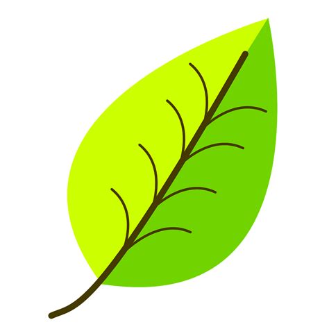 Leaf Draw Image Clipart Best