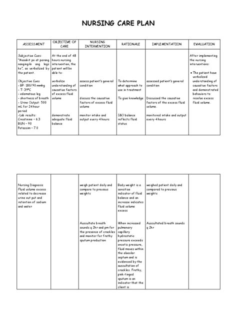 Nursing Care Plandocx Medical Specialties Clinical Medicine