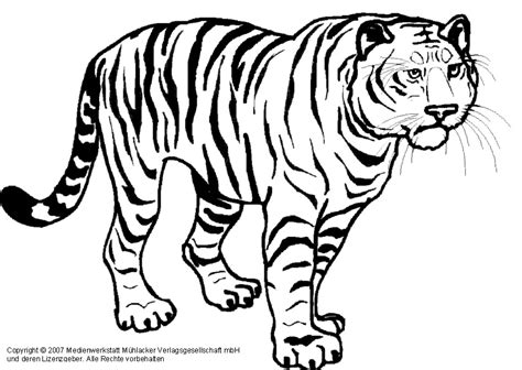 Malvorlagen Von Tiger Ausmalbilder Tiger Kostenlos Malvorlagen Zum