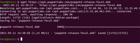 Install Puppet On Ubuntu 20 04 Step By Step PhoenixNAP KB