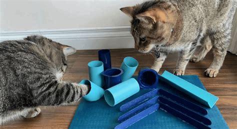 Homemade Catnip Toys For Cats Wow Blog