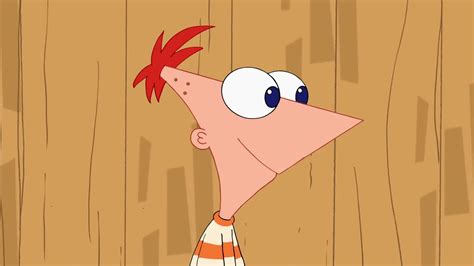 Phineas Flynn Phineas And Ferb Wiki Fandom