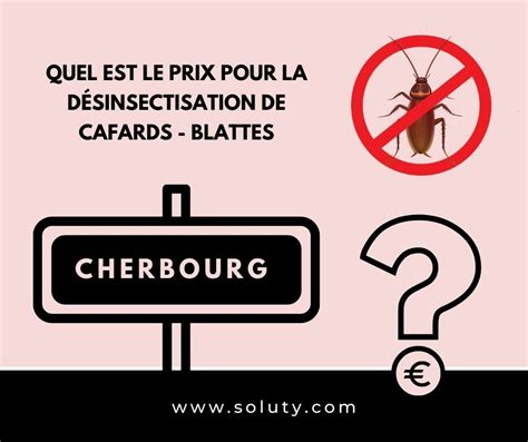 Cherbourg Société De Désinsectisation Cafards Et Blattes Soluty