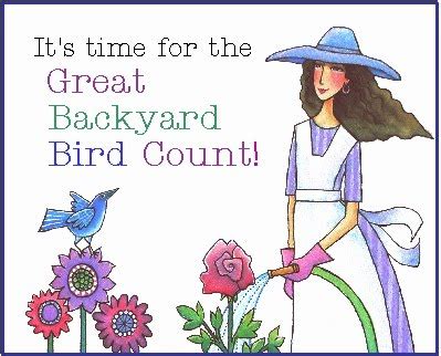 The website for the great backyard bird count has some helpful articles and tips on their site too will you be participating in the great backyard bird count or have you in the past? The Well-Rounded Mind: Great Backyard Bird Count!