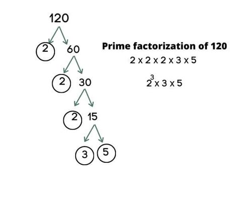 Solved Prime Factorization Step By Step Easy Method 1 To 1000