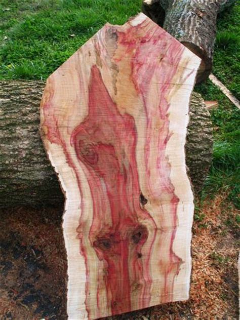 Wood For Sale Flame Box Elder Black Walnut Birdseye Maple Ect