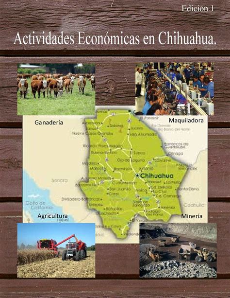 Calaméo Actividades Económicas En Chihuahua