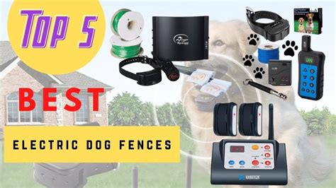 Electric Dog Fences The Best Electric Dog Fences 2021 Youtube