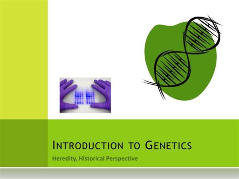 Ppt Introduction To Genetics Powerpoint Presentation Free Download