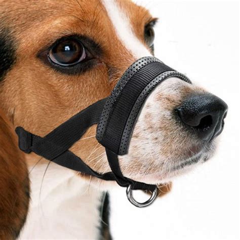 Dog Muzzle Soft Muzzles For Dog Prevent Biting Chewing Barking Black Ebay