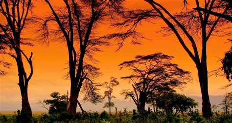 African Sunset Image Abyss