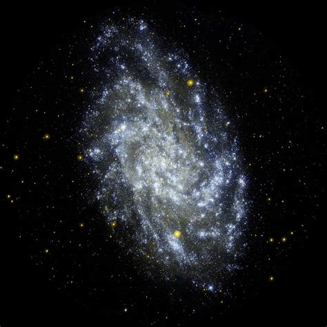 Messier 33 Triangulum Galaxy Messier Objects