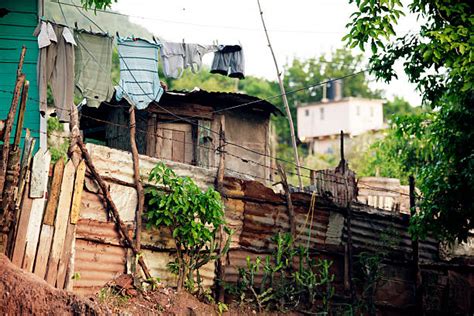 Royalty Free Jamaica Slum Kingston Jamaica Ghetto Pictures Images And