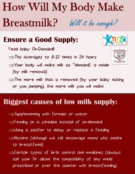Making Milk South Dakota Breastfeeding Peer Counseling