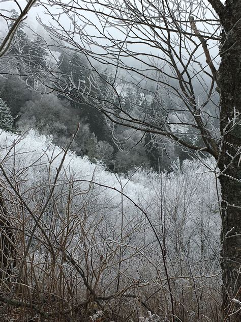 Winter Along Hwy 441 In The Smoky Mountains National Park National