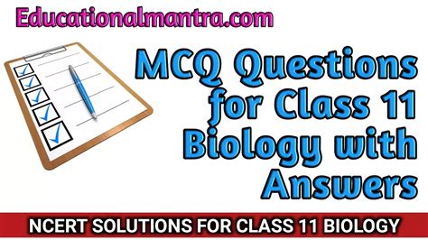 MCQ Questions For Class 11 Biology Chapter 1 The Living World With Answers