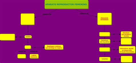 Mapa Conceptual Del Aparato Reproductor Femenino