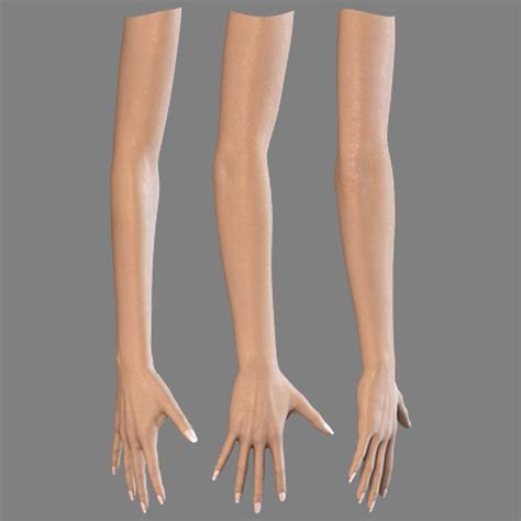 Female Hand Arm 3d Model