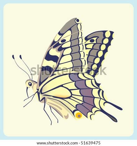 Eastern Tiger Swallowtail Butterfly Eps Stock Vector Illustration