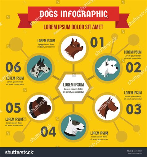 Dog Breeds Infographic Banner Concept Flat Stock Vector Royalty Free