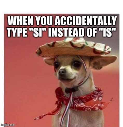 Funny Dog Memes In Spanish Perpustakaan Sekolah