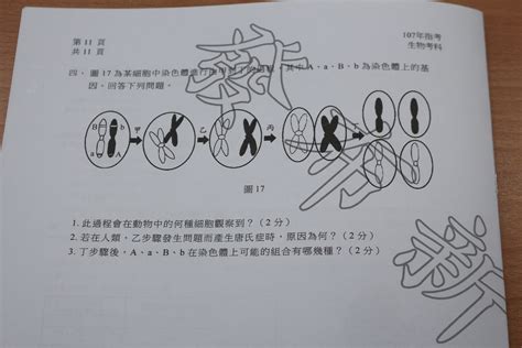 The site owner hides the web page description. 指考生物／試題偏難、圖表多 閱讀速度慢的會寫得吃力 | ETtoday生活新聞 | ETtoday新聞雲