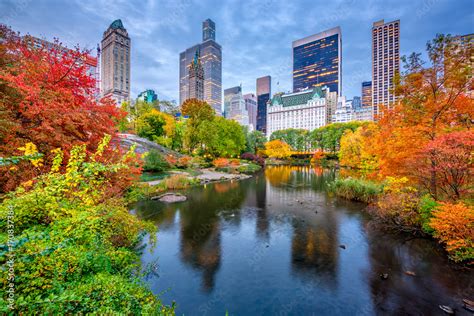 Photo And Art Print Central Park Autumn In New York City